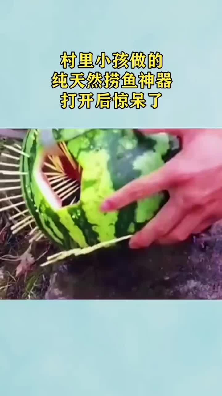 村里小孩儿做的纯天然捞鱼神器,打开后惊呆了