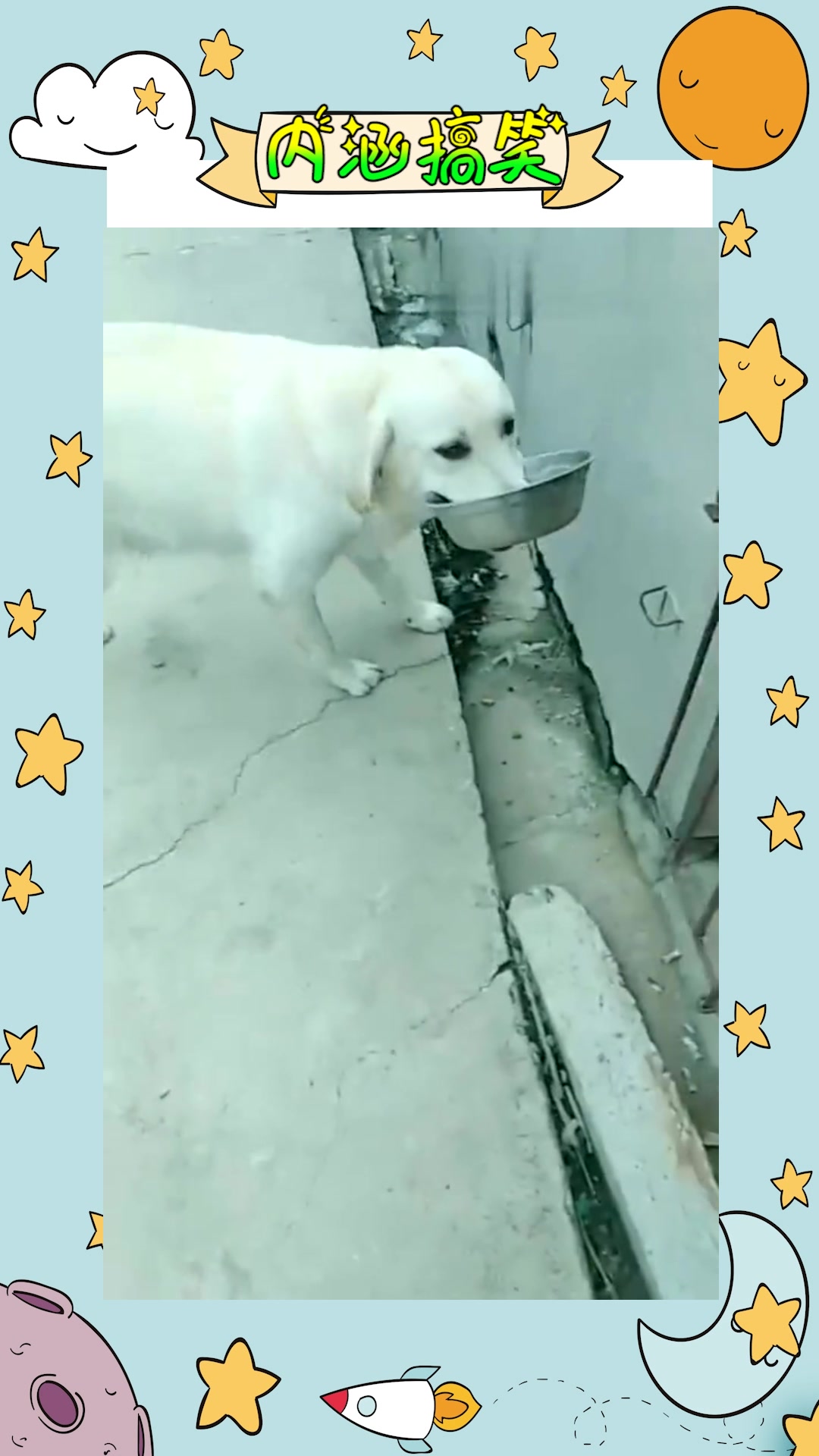 #我要上热门#这狗狗叼着盆讨饭了