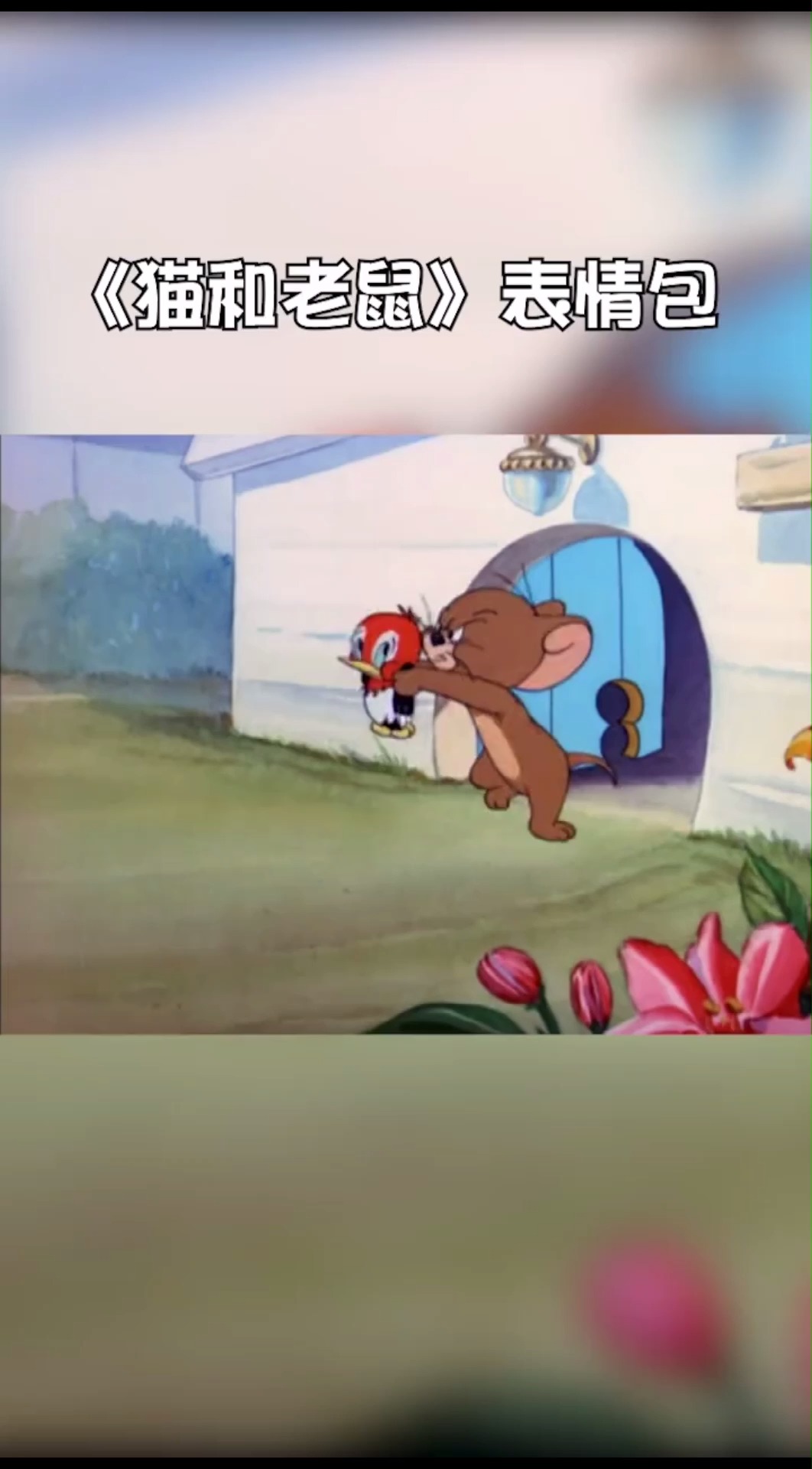 猫和老鼠,汤姆带着表情包走来了!