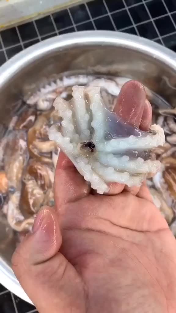 家庭版红烧八爪鱼做法