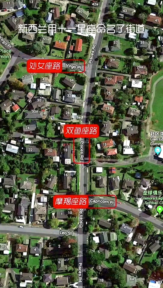 新西兰冷知识 第三集