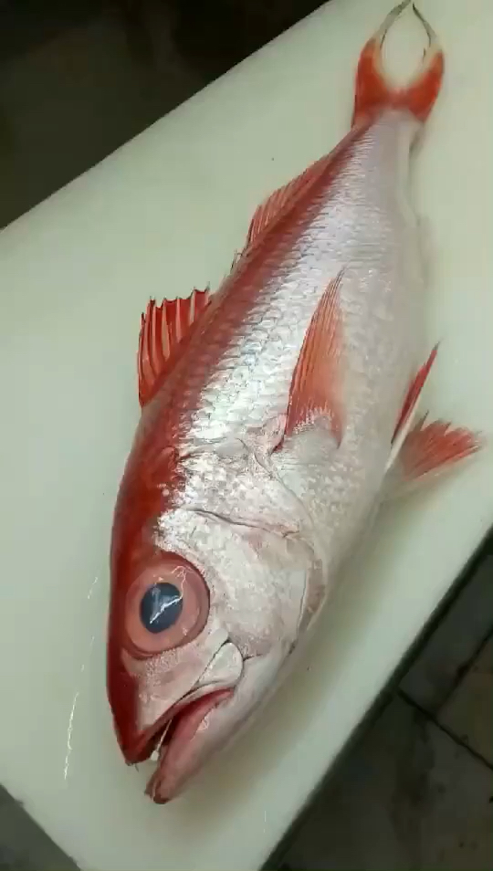 你为什么那么努力