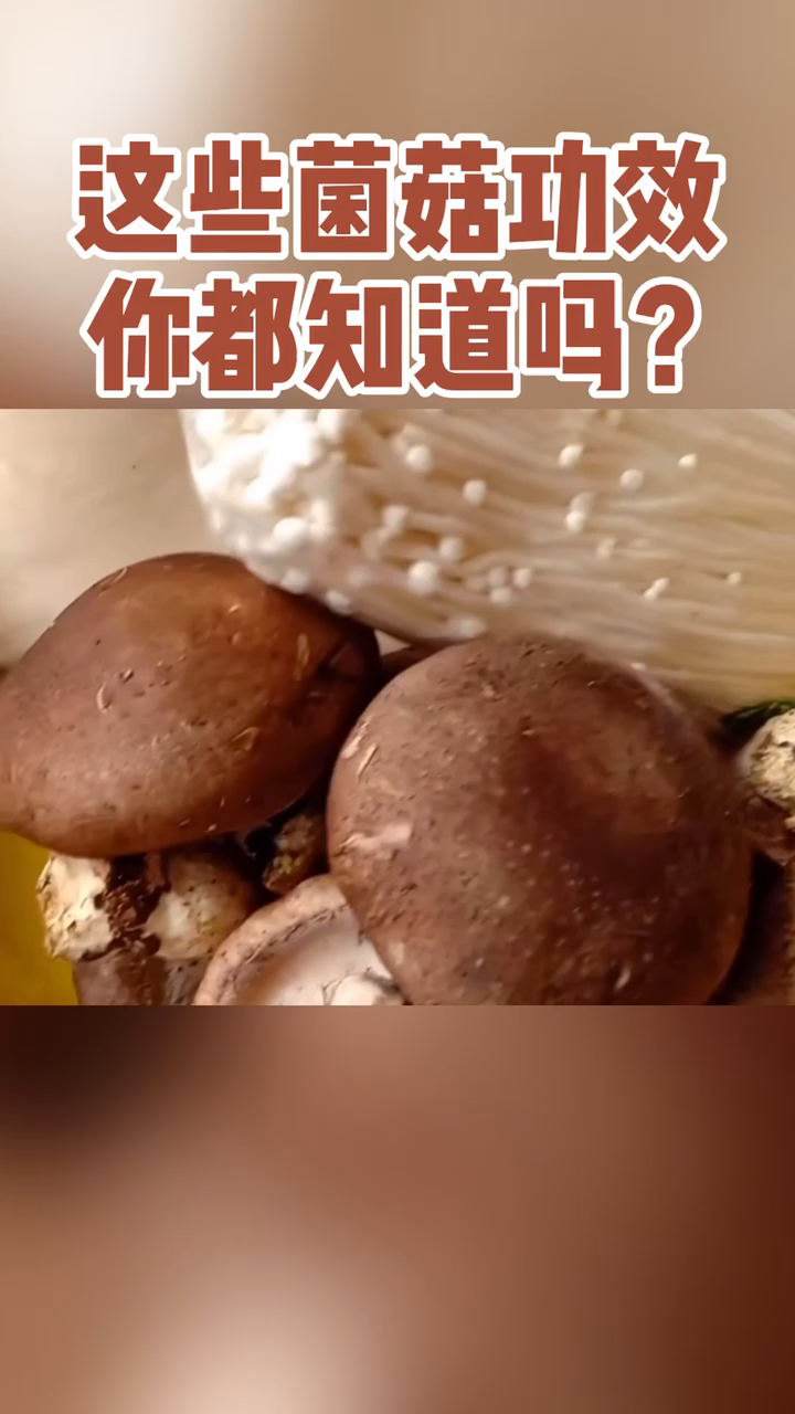 #健康养生#菌菇大家都吃过,那你知道这些菌菇都有什么功效吗?