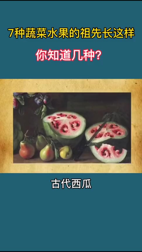 #搞笑段子#古代的蔬果长什么样子你见过吗?快来看看吧