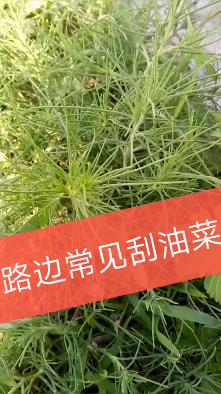 口感相当好吃