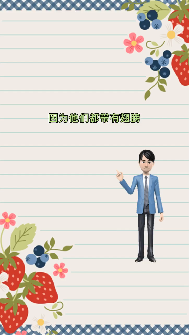 我来告诉你 鸡鸭鹅属于什么类动物