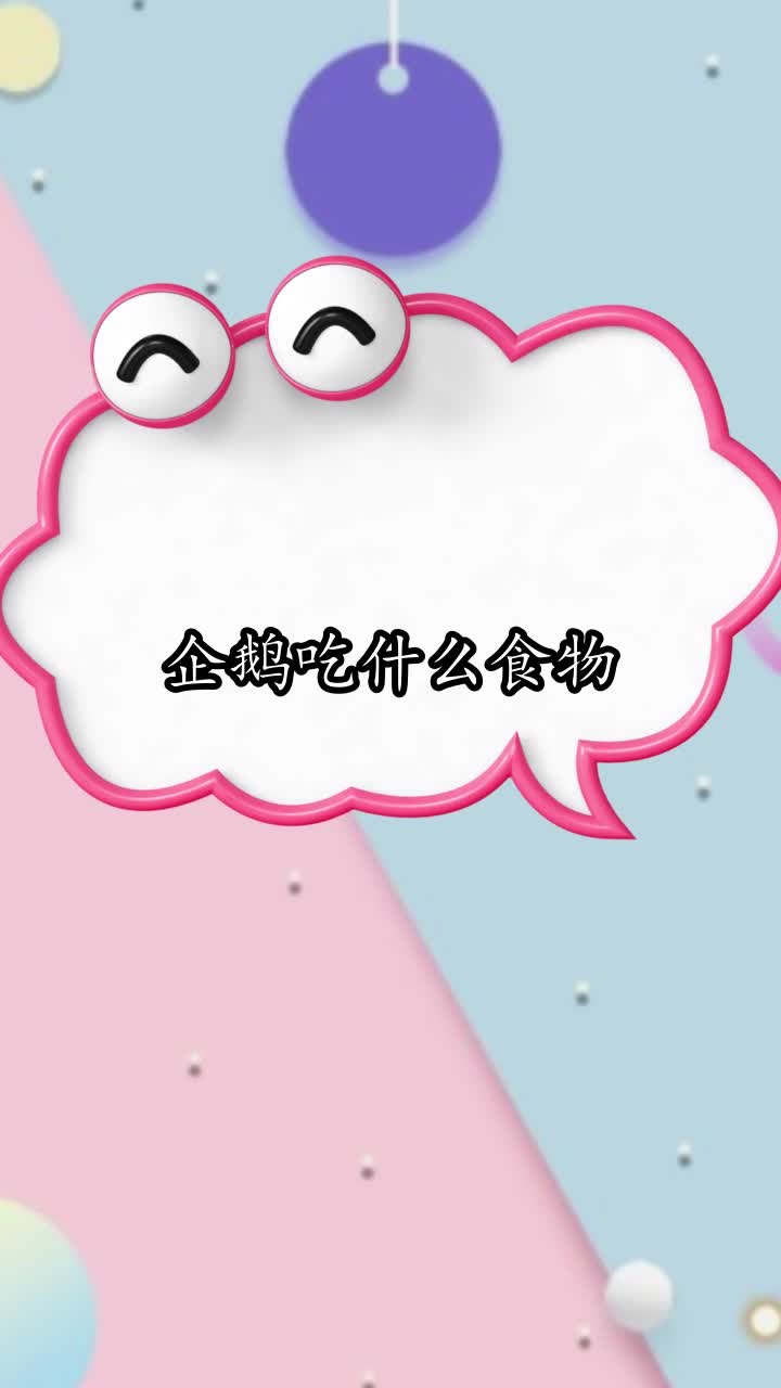 企鹅吃什么食物,你明白了吗