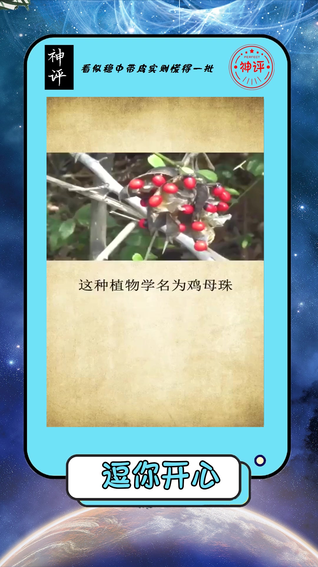 #搞笑#世界上最毒的植物,看到千万不要去摘!
