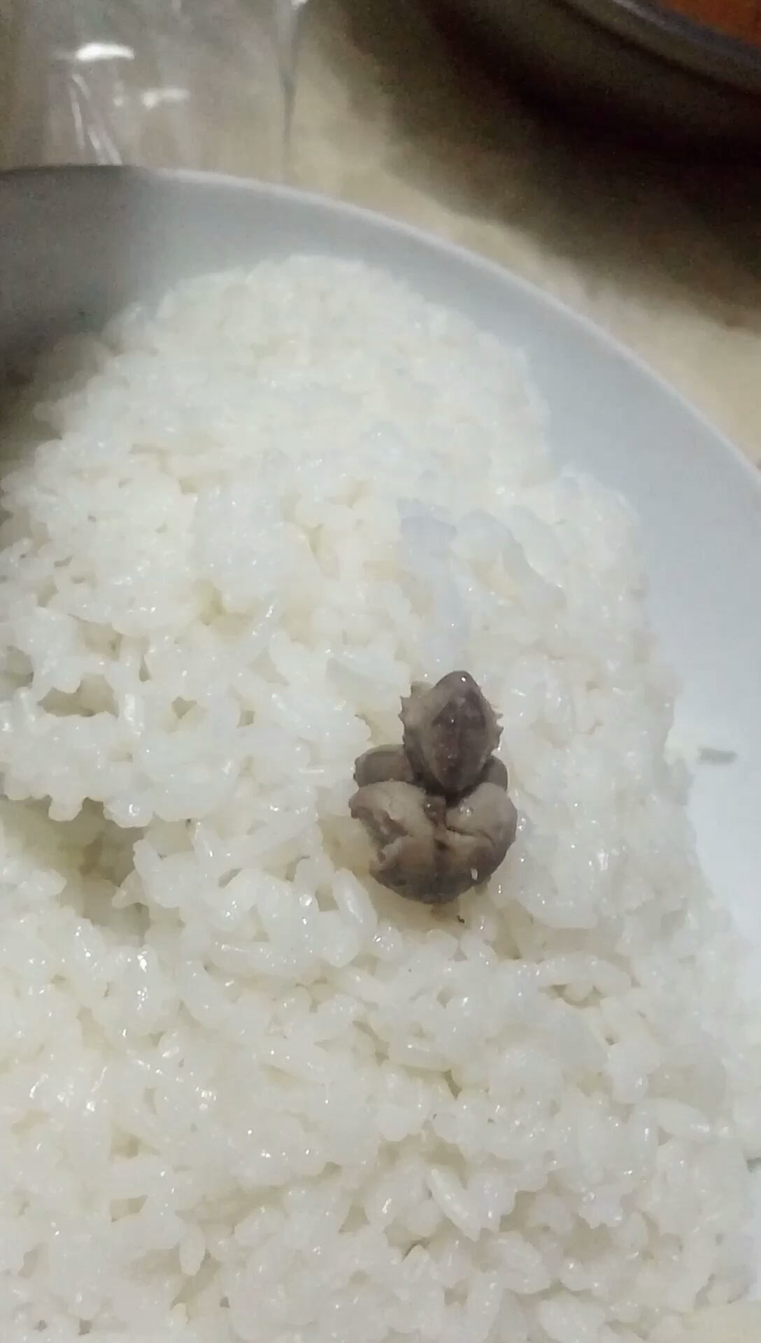 这个就是,从鸡脑子里拿出来的那个“秦桧”