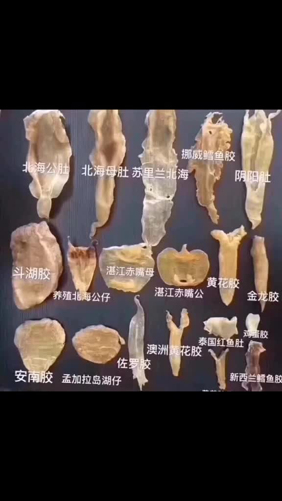 普及一下鱼胶的种类