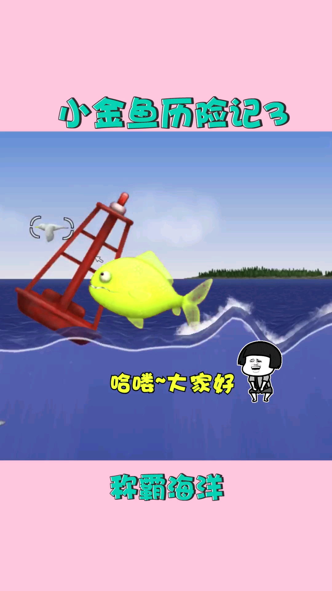 无敌小金鱼来了