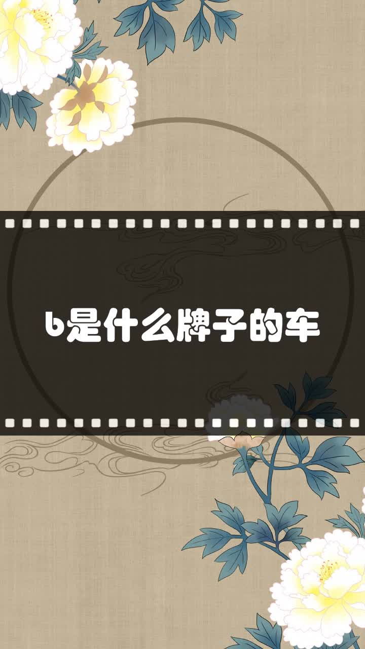 b是什么牌子的车