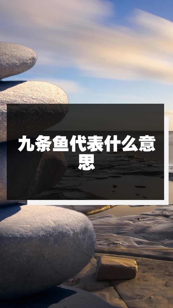 九条鱼代表什么意思