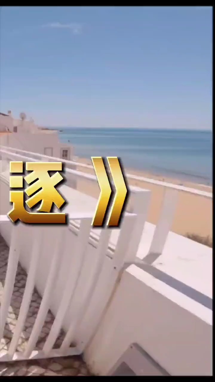 大鱼竟然露脸了?第一视角带你体验大鱼的一天!超搞笑!