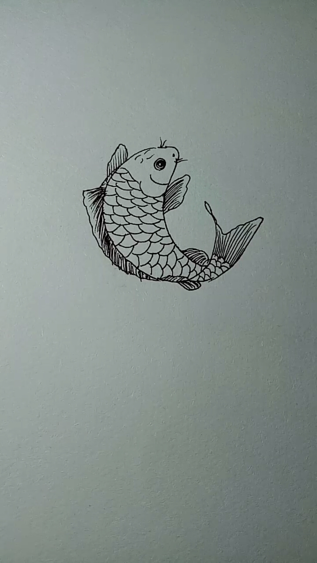 #一看就会的白描画#鲤鱼白描画法