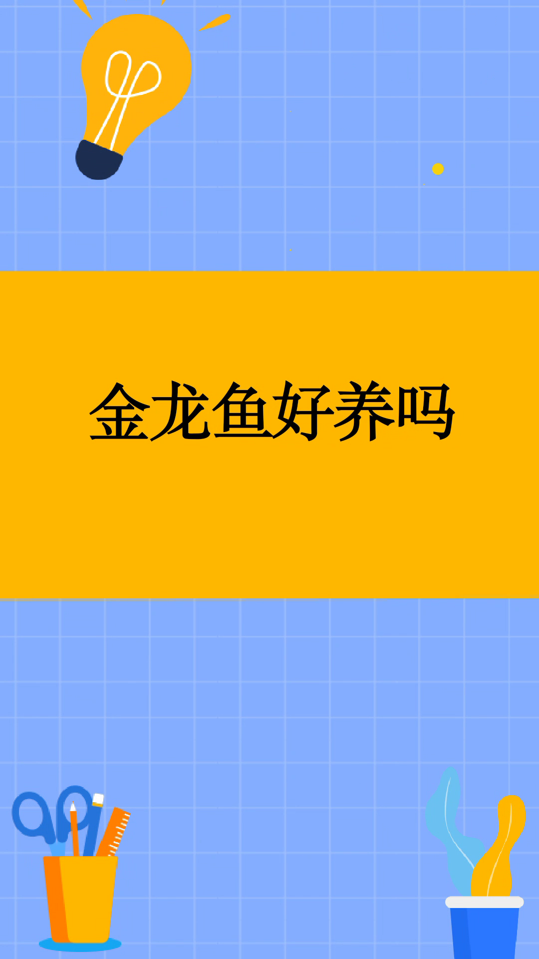 金龙鱼好养吗  