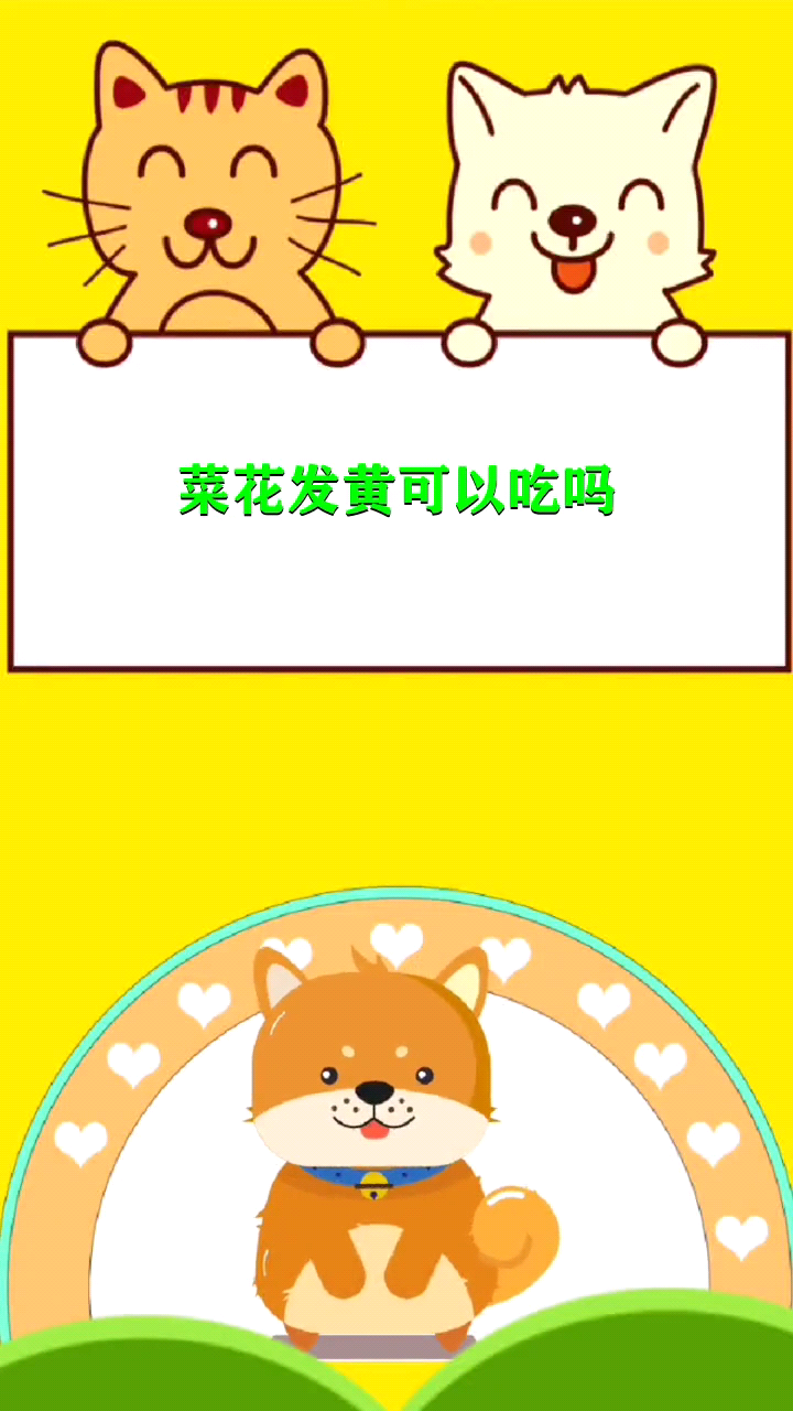 菜花发黄可以吃吗