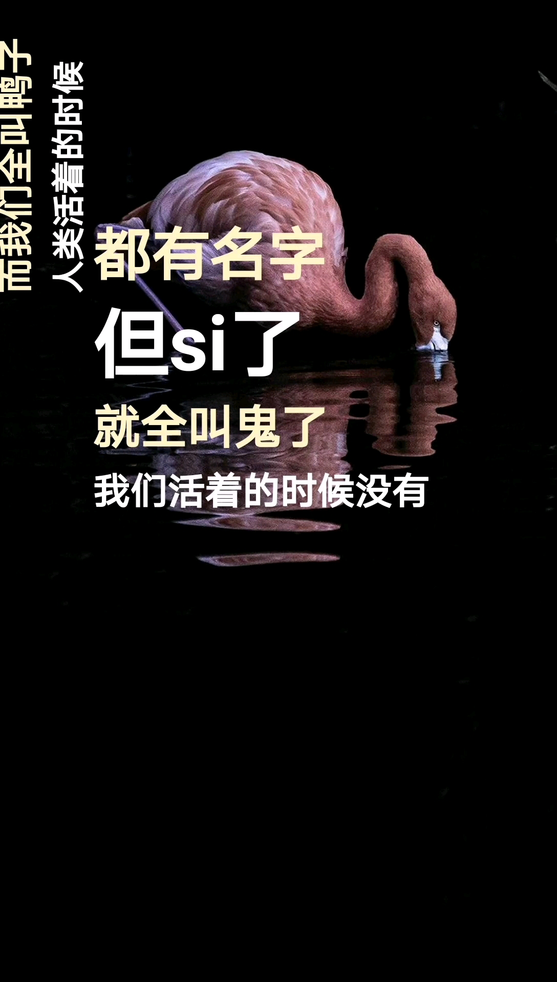 听得口水流