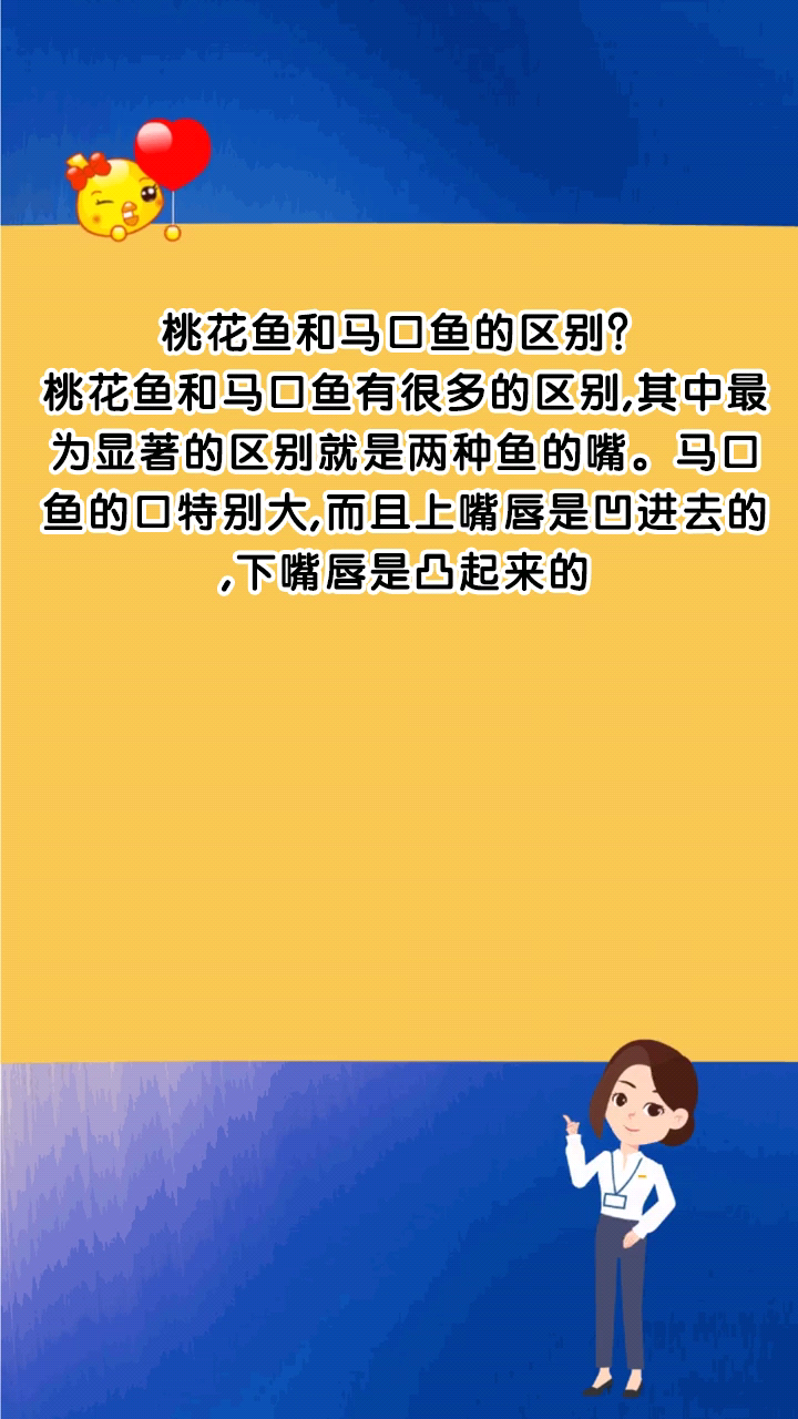 桃花鱼和马口鱼的区别?