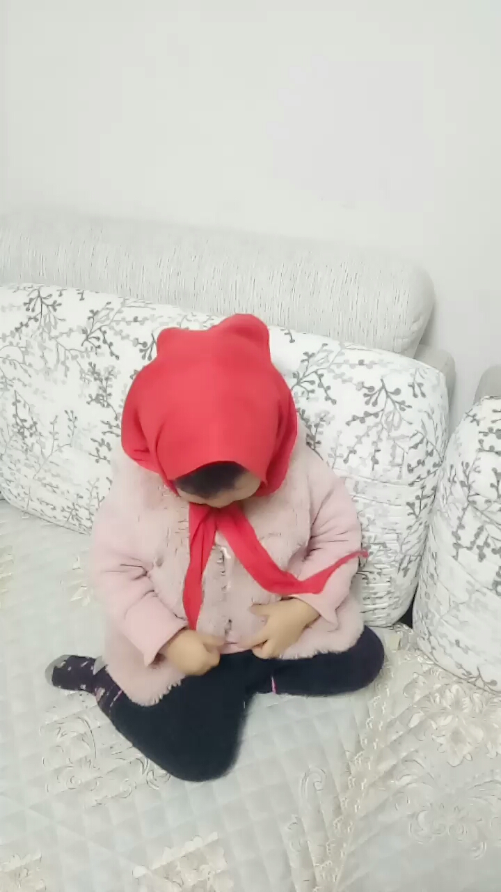 小鸡宝宝
