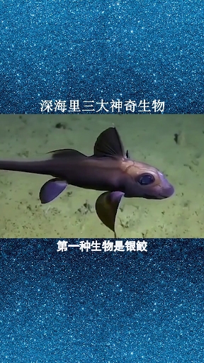 #我要上热门#深海里的三大神奇生物,你知道吗?