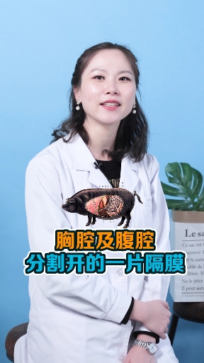 #在家云旅游#罗汉肉,究竟是什么肉呢?大家吃过吗