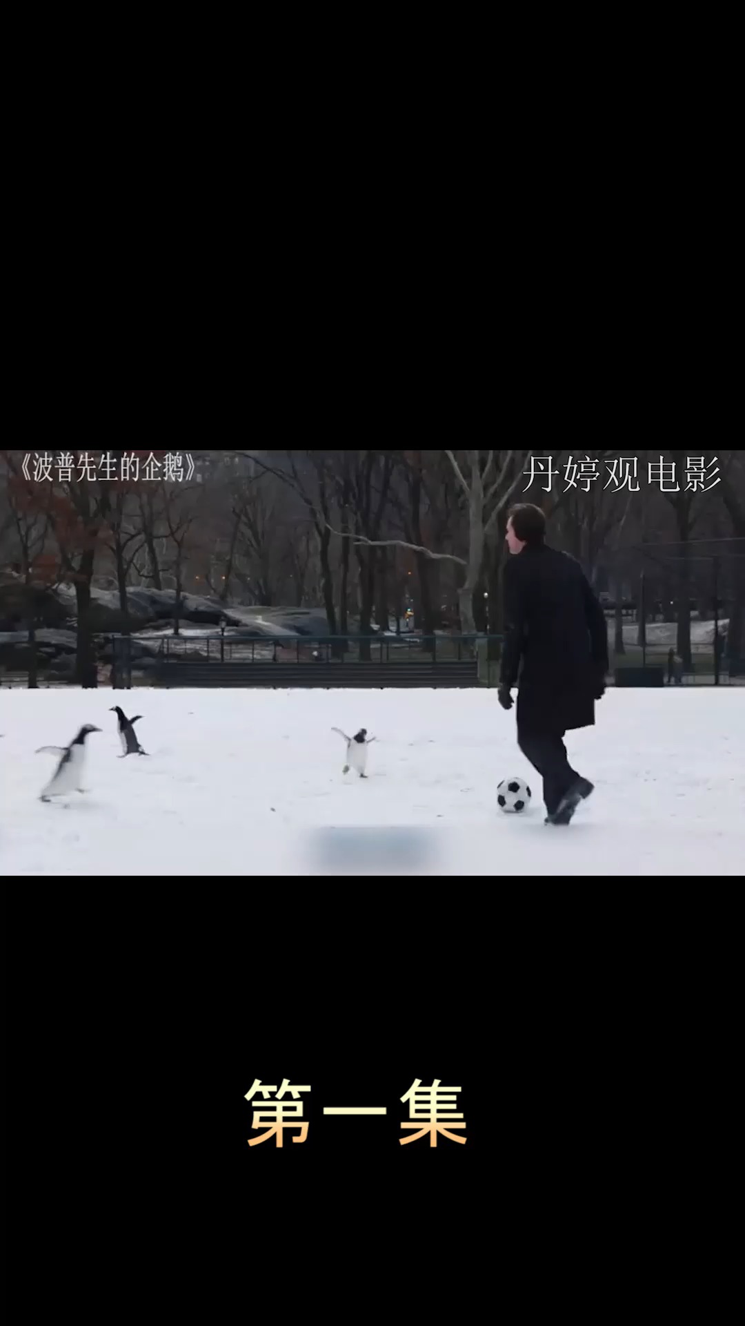 电影【波珀先生的企鹅】第一集