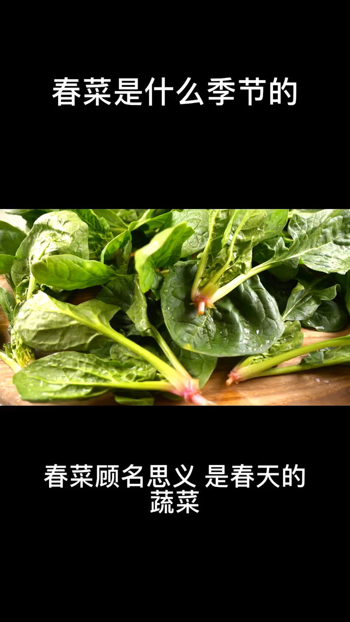春菜是什么季节的