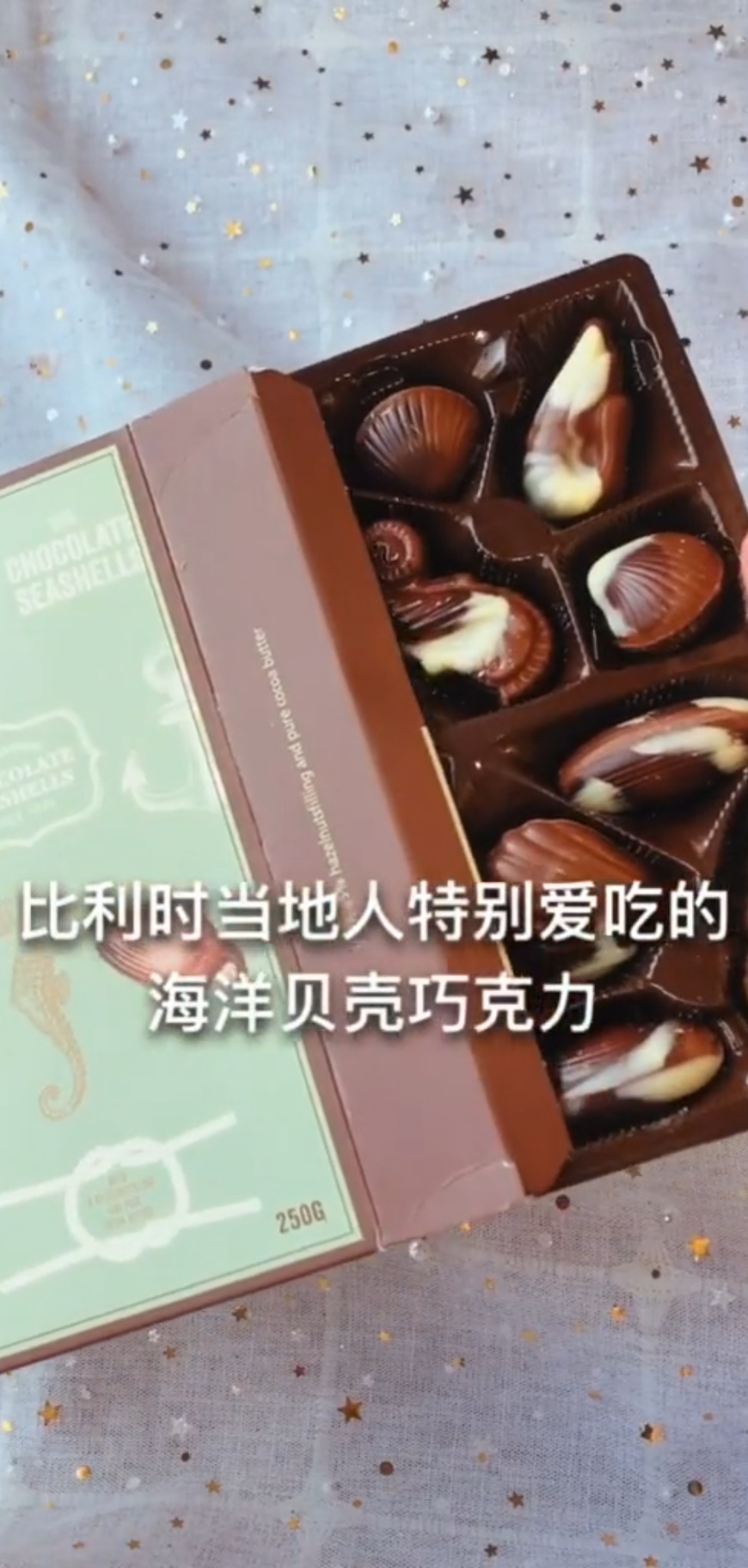 海洋贝壳巧克力