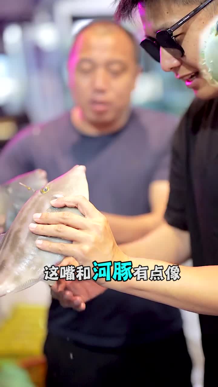 皮匠鱼纯野生皮匠鱼只活跃在这短短的几个月肉质细腻鲜美美食制作人该吃吃该喝喝