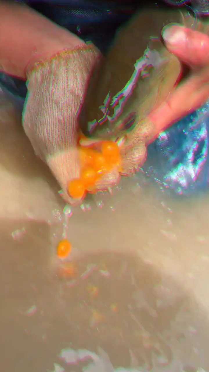 龙吐珠这才发财了,一口一万元