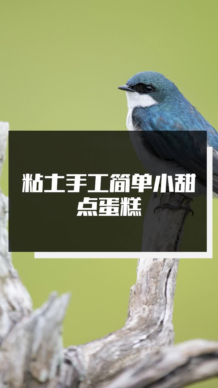 粘土手工简单小甜点蛋糕