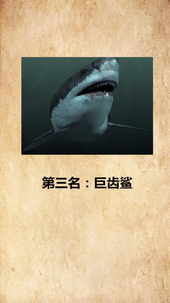了解一下海洋中最凶猛的