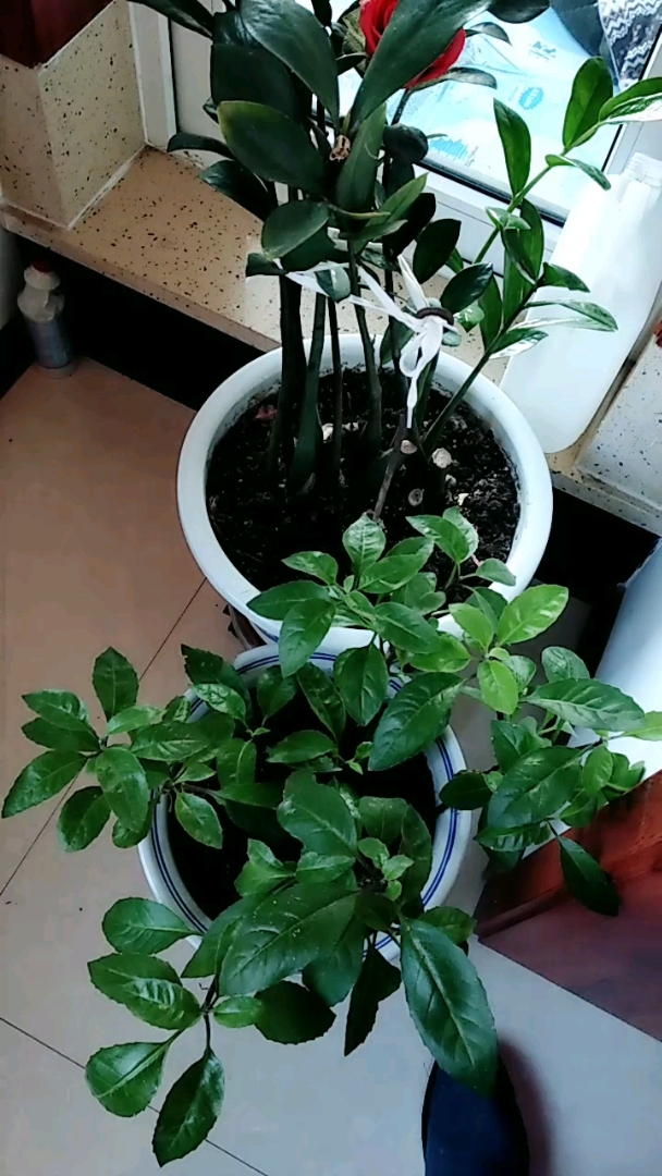 分享视频