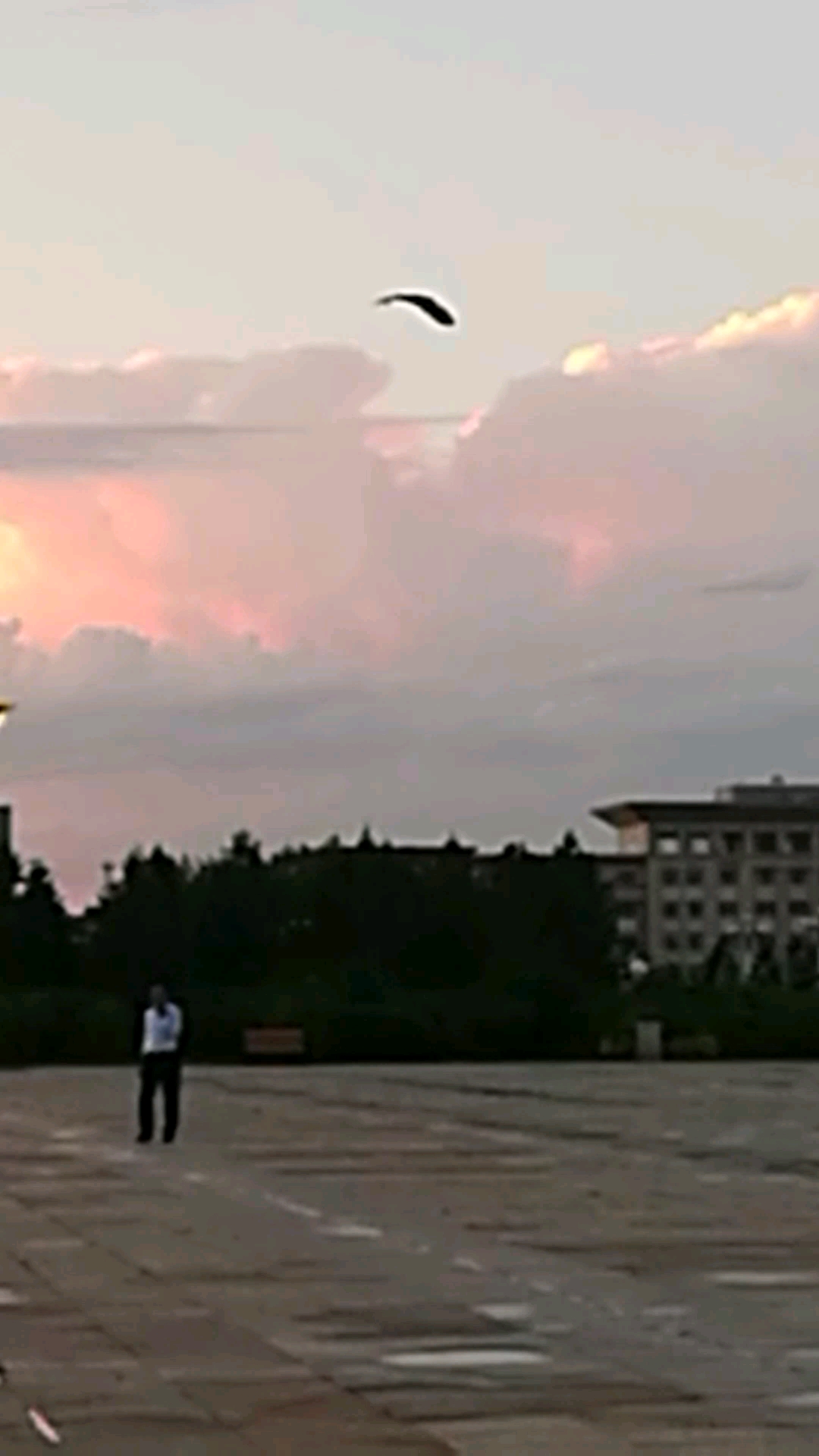 天上的鱼儿