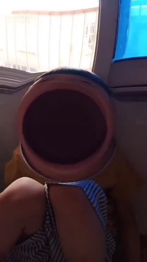 鲨鱼鲨鱼,你见到大嘴鱼了吗