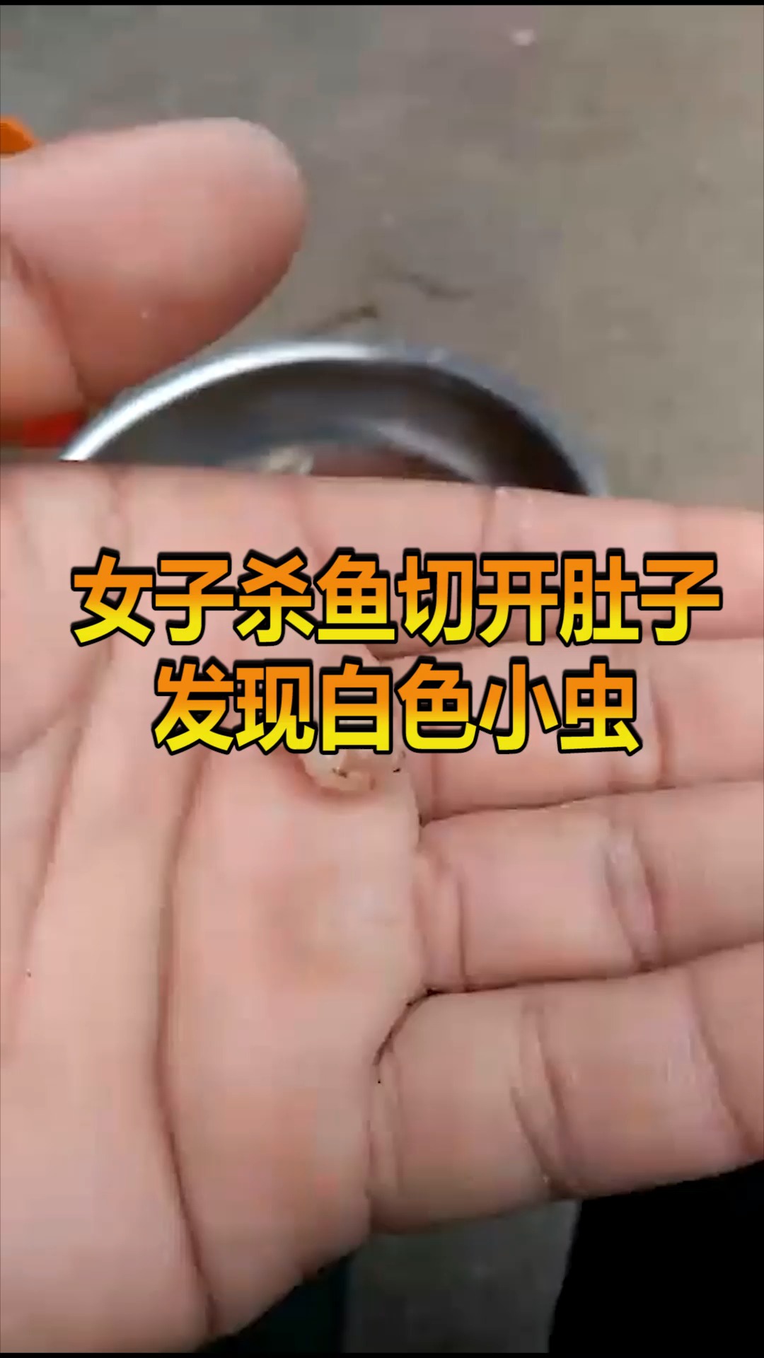 #奇趣#女子杀鱼切开肚子,刚伸手就被咬了一口,一看头皮发麻!