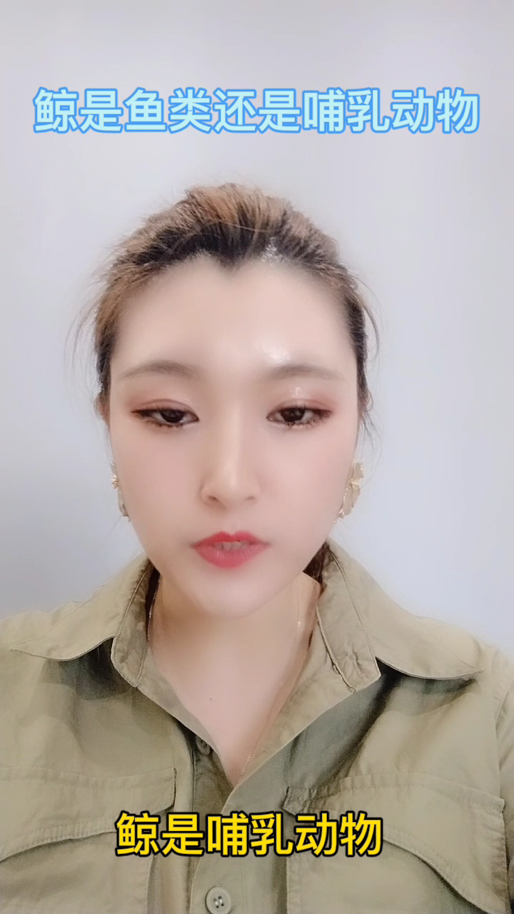 鲸是鱼类还是哺乳动物 