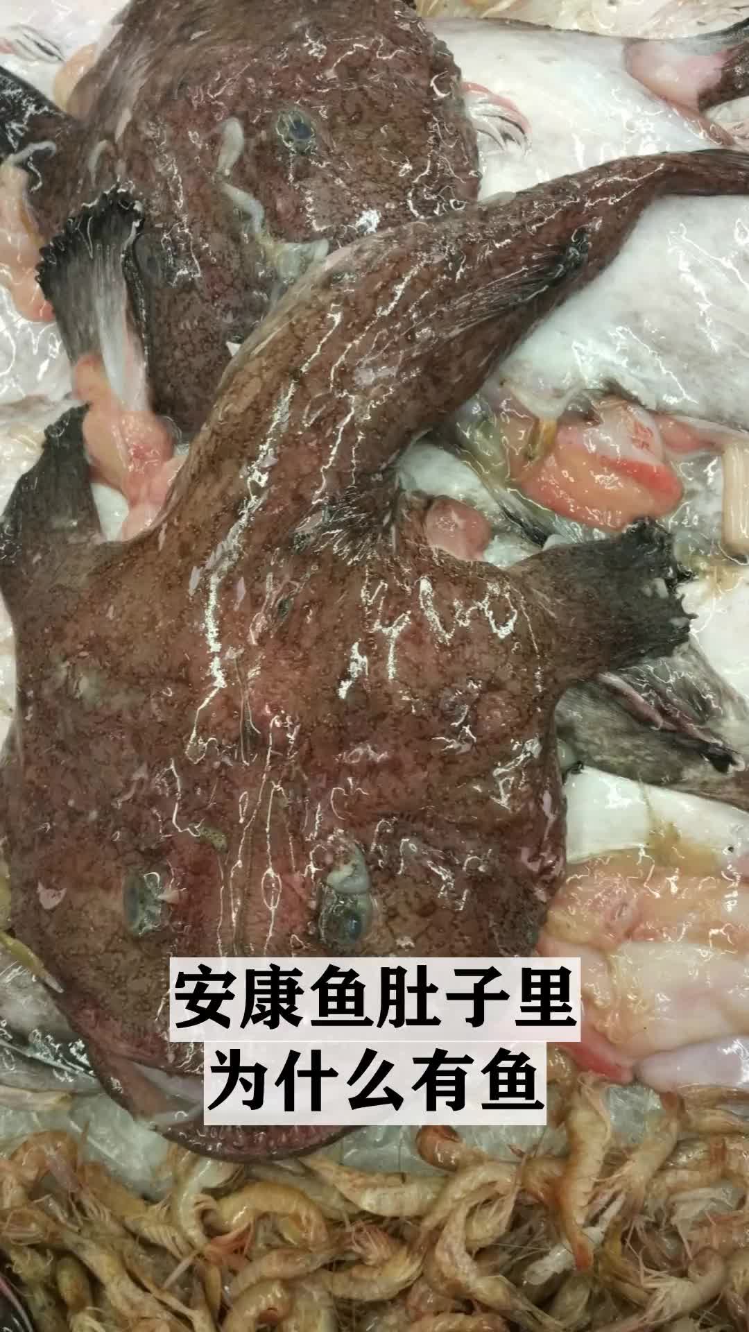 安康鱼肚子里为什么有鱼