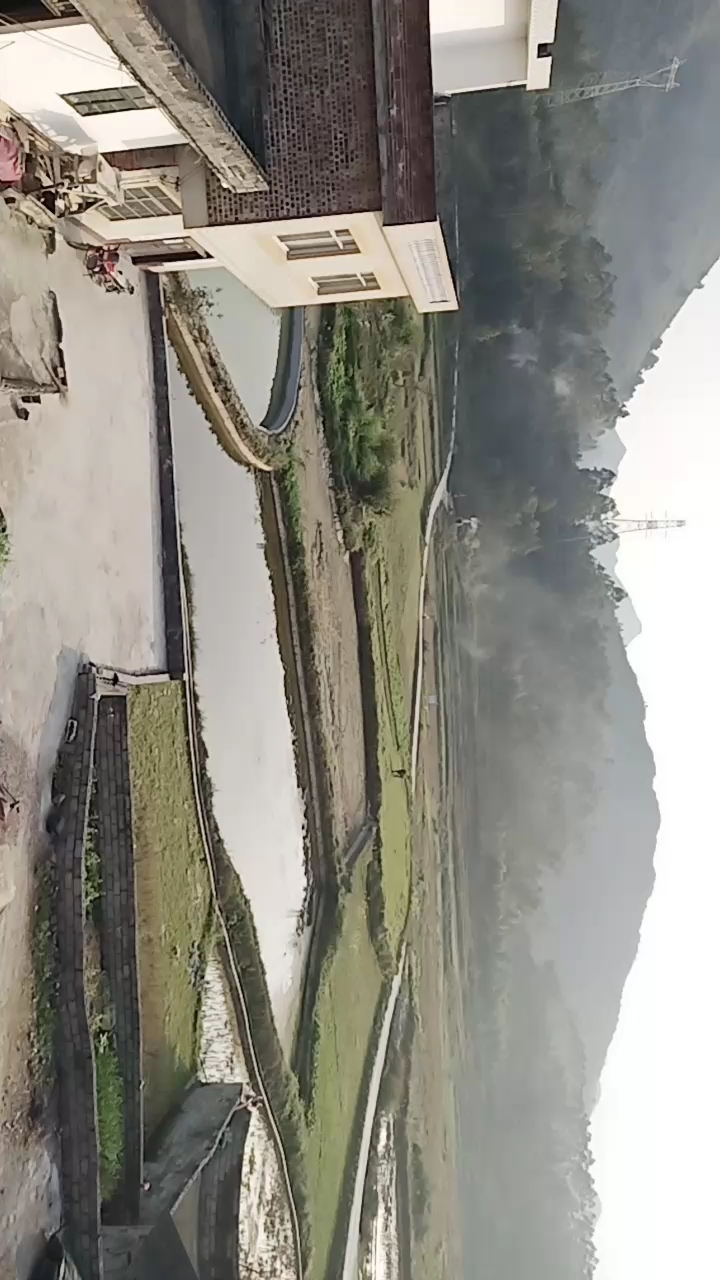 公鸡打鸣