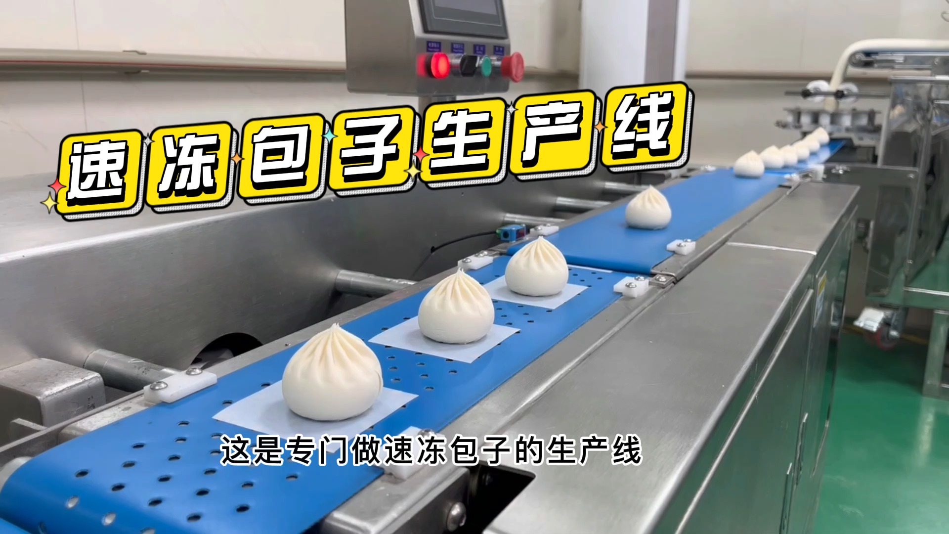 #包子#速冻包子生产线批量化做包子,全自动化智能生产。#包子生产线 #食品厂