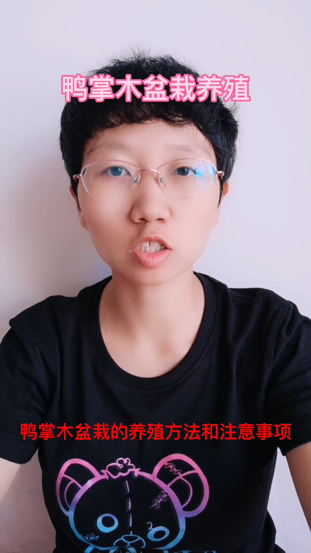 鸭掌木盆栽的养殖方法和注意事项