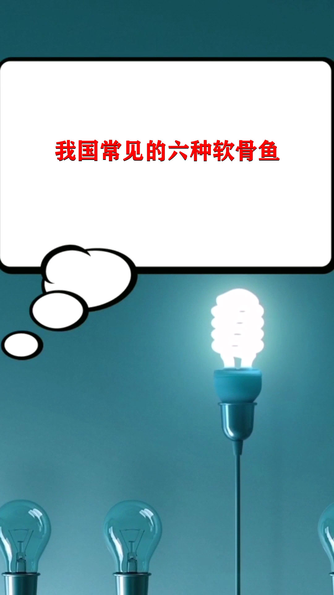 我国常见的六种软骨鱼