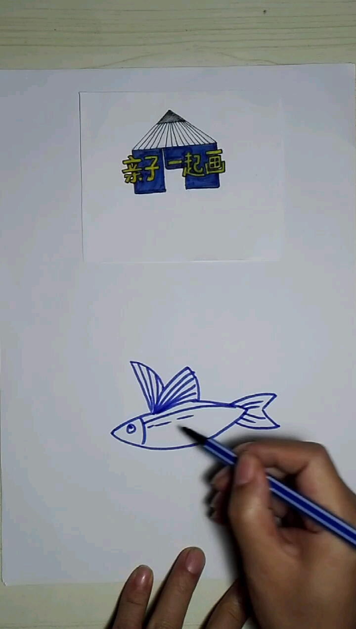 亲子简笔画飞鱼