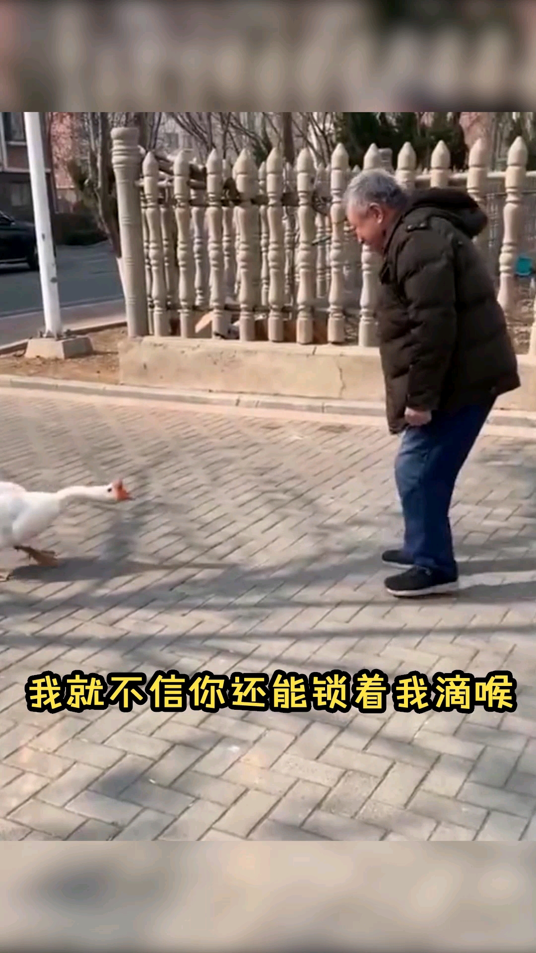 #搞笑段子剧#请问，大鹅怎么炖好吃？