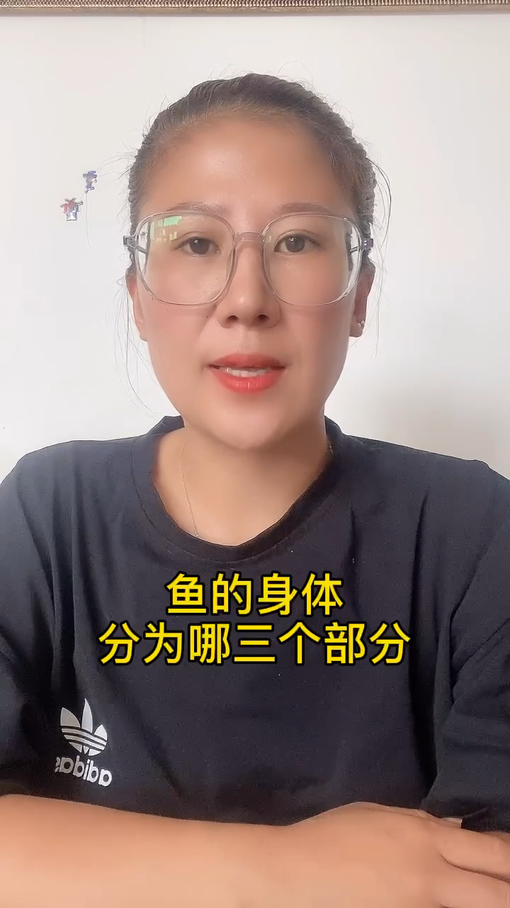 鱼的身体分为哪三个部分
