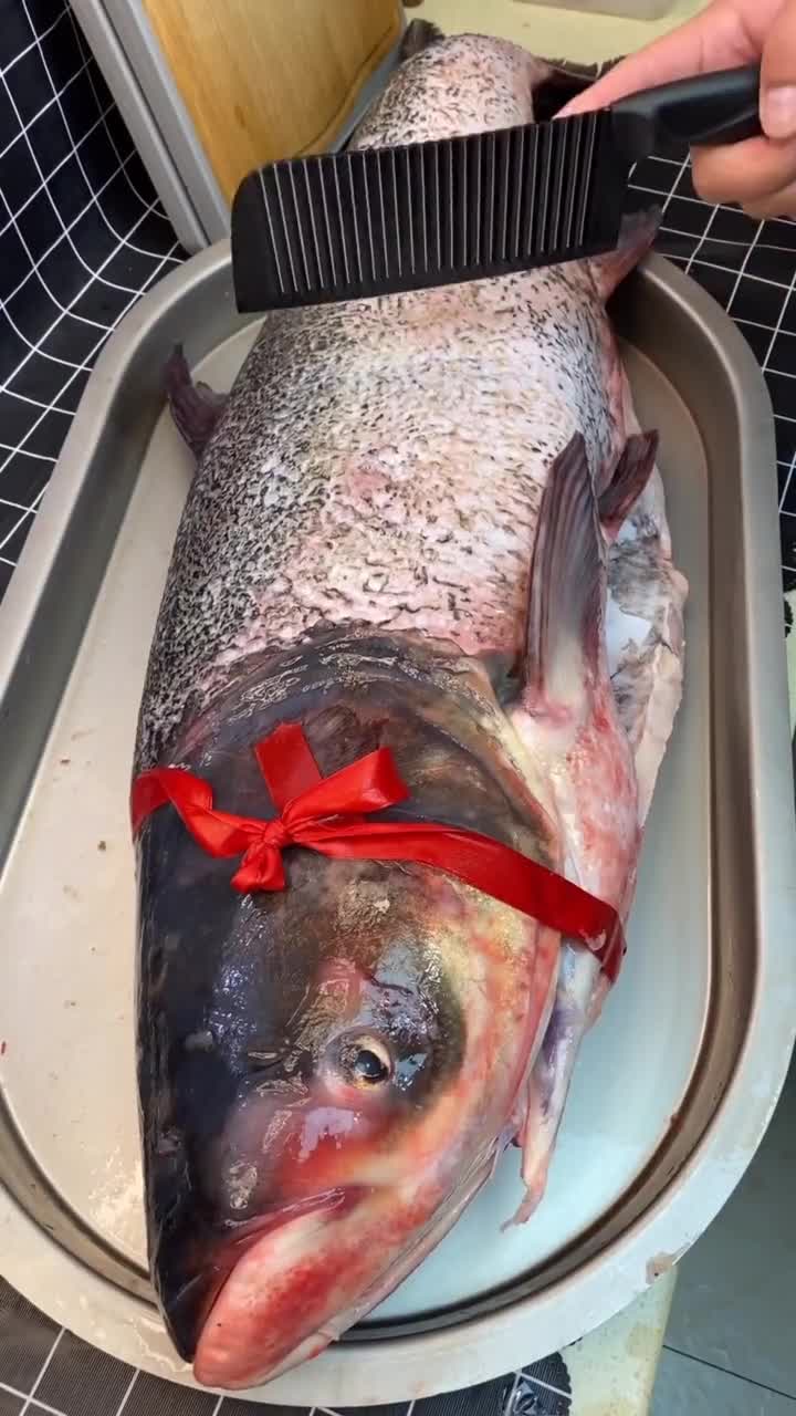 家庭版红烧鲢鱼头,感谢大家支持