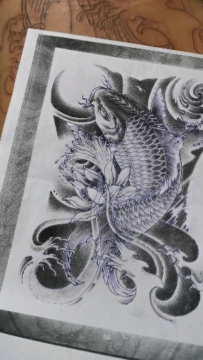 满背割线条鲤鱼