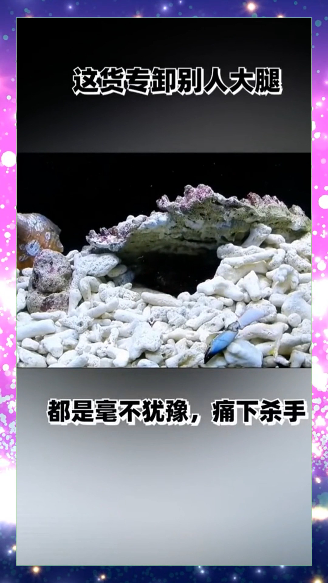 #娱乐#这货专卸别人大腿,领地意识极强,螃蟹的内心是崩溃的!