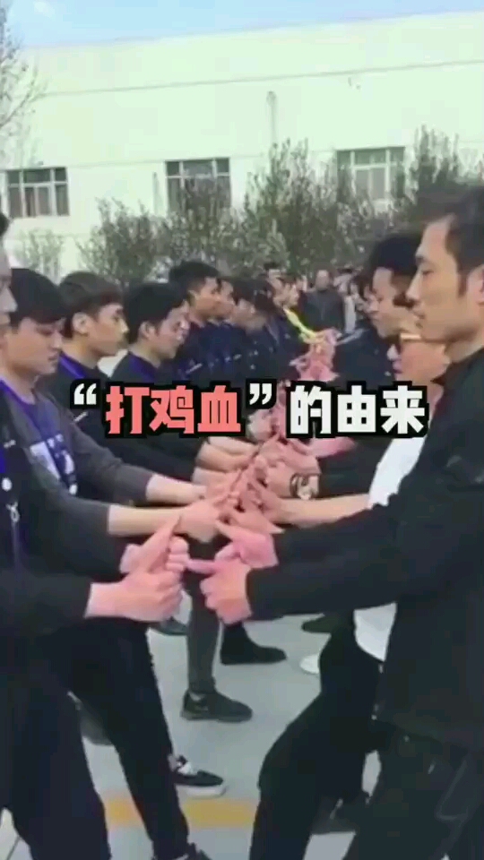 传说中的打鸡血竟然是这样来的
